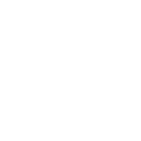 Anonymous Dolphin